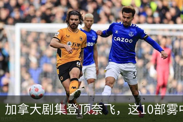 加拿大剧集登顶奈飞，这10部雾中惊悚剧接档