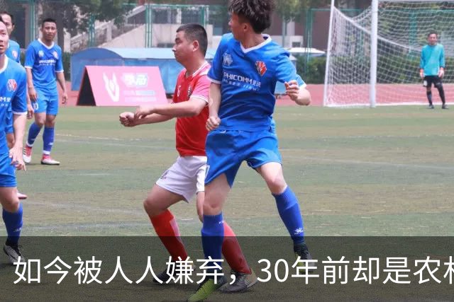 如今被人人嫌弃，30年前却是农村香饽饽，为何如今仍然大量养殖