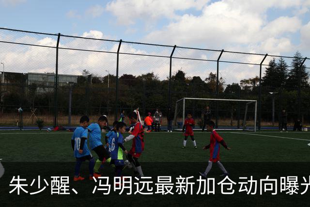 朱少醒、冯明远最新加仓动向曝光；李晓星最新观点